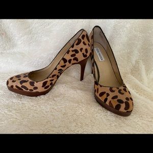 Steve Madden Leopard “Rumble” Pony hair Pumps